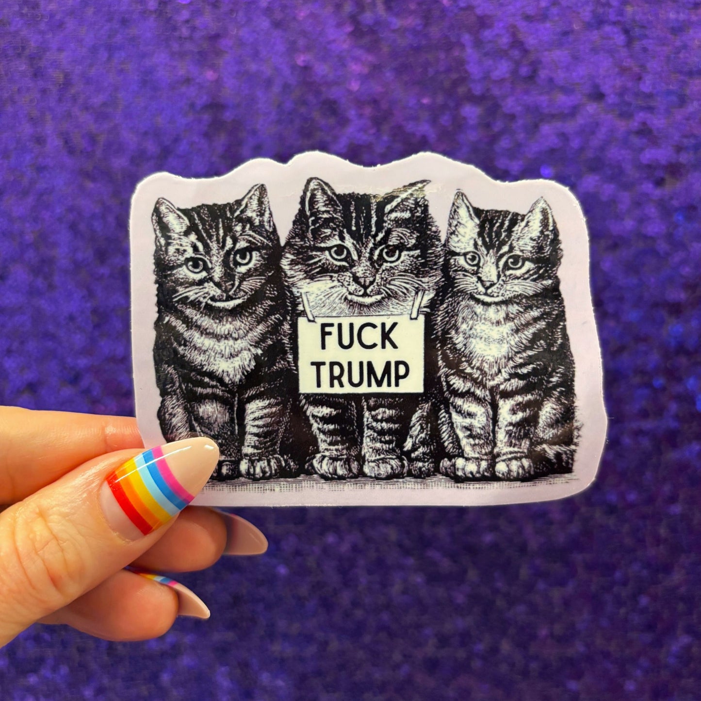 Fuck Trump Cats Sticker | Vinyl Die Cut Decal